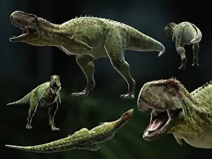 Ceratosaur: Skorpiovenator bustingorryi, a genus of abelisaurid ?