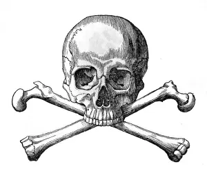 Crossbones: SKULL AND CROSSBONES