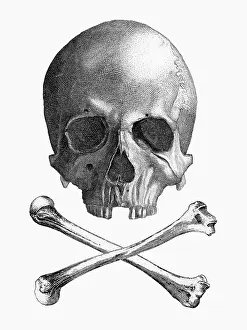 Pennant: Skull and Crossbones