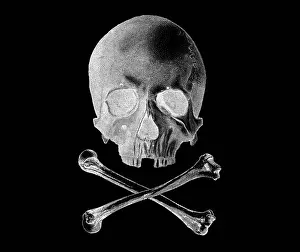 Pennant: Skull and Crossbones - Inverted