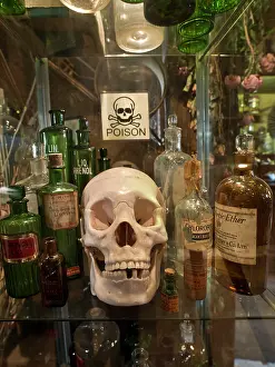 Garret: Skull and poison bottles DP