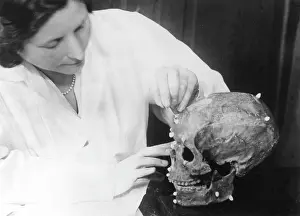 Plasticine: SKULL RECONSTRUCTION