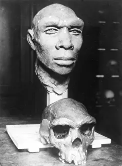 Erna: SKULL RECONSTRUCTION