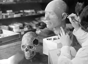 Erna: SKULL RECONSTRUCTION