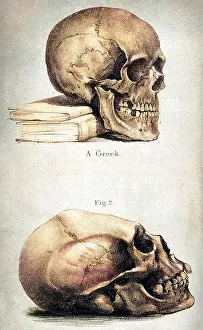 Titicaca: SKULLS / 1841
