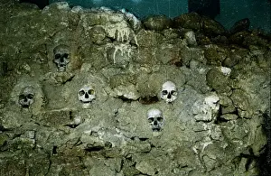 Eerie: Skulls - skeleton - bones - face