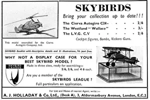Holladay: Skybirds 1/72 Scale Aircraft Models