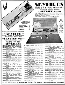 Holladay: Skybirds Aircraft Display Models