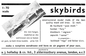 Holladay: Skybirds Aircraft Models