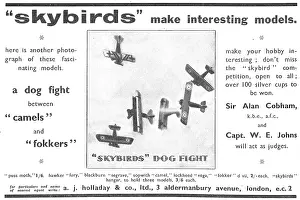Holladay: Skybirds Model Aircraft
