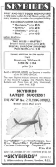 Holladay: Skybirds Model Aircraft
