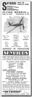 Holladay: Skybirds Model Aircraft