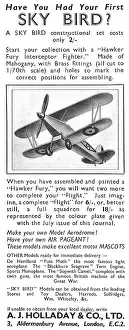 Holladay: Skybirds Model Aircraft