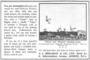 Holladay: Skybirds Models