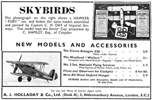 Holladay: Skybirds Models