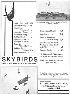 Holladay: Skybirds Models