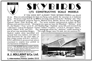 Holladay: Skybirds Models