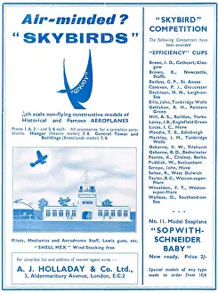 Holladay: Skybirds Models