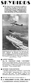 Holladay: Skybirds Publications: The Skybird
