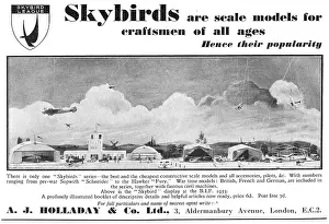 Holladay: Skybirds Scale Aircraft Models For Craftsmen