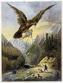 Grabs: SKYE EAGLE RAIDS BABY