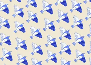 Skylark: Skylark in flight repeating pattern