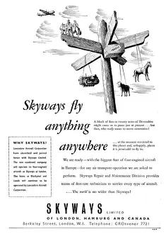 Skyways: Skyways