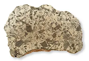 Inclusion: Slab of the Lueders meteorite