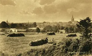 Bucolic: Slagelse Denmark - Rural Scene of Harvesting