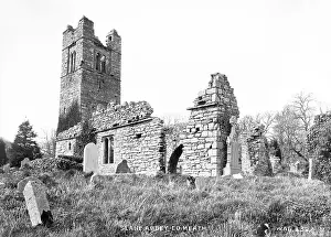 Meath: Slane Abbey, Co Meath