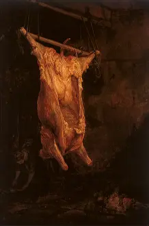 Carcase: The Slaughtered Ox, by Rembrandt