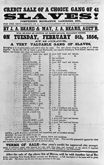 Abolitionism: Slave Auction Notice