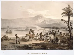Ethiopia: Slave Caravan on the March, Ethiopia. Tinted