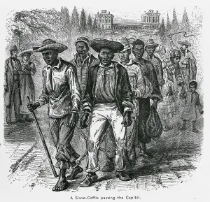 Shackles: A slave-coffle passing the Capitol