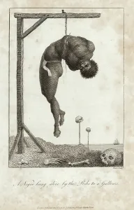 Gibbet: A slave hanging from a gibbet