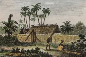 Daquitaine: Slave hut, Musee d'Aquitaine, Bordeaux, Aquitaine, France