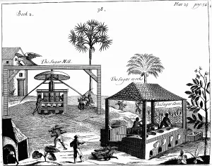 Boiling: Slave labour on a sugar plantation in the West