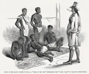 Calculated: Slave Market of Rio 1846
