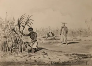 Daquitaine: Slave working, Musee d'Aquitaine, Bordeaux, Aquitaine