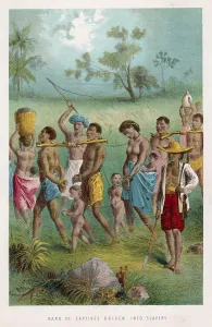 Encountered: Slavery - Africa