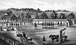 Executing: Slavery, Inhumane Slave Codes, 1860