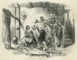 Insolence: SLAVERY/NORTH AMERICA