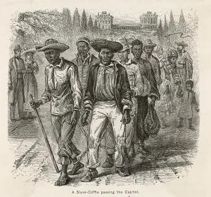 Coffle: SLAVERY/NORTH AMERICA