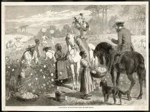 Contented: Slavery - North America