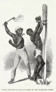 Flogging: Slavery - South America 1846