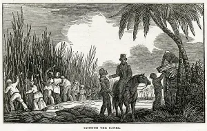 Antigua: Slavery - West Indies