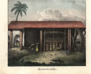 Goedsches: Slaves bringing sugar cane to a sugar mill