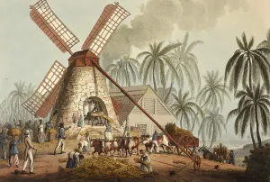 1823: Slaves Grinding Sugar Cane, 1823