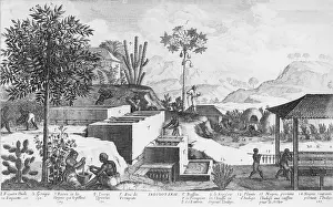 Fermented: Slaves and their overseer working on a Caribbean ?