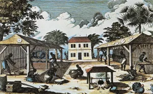 Wholesaler: Slaves processing tobacco and manioc in a plantation
